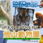 アキラ100%と行く！旭山動物園（北海道）