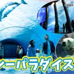 横浜・八景島シーパラダイス（神奈川県）