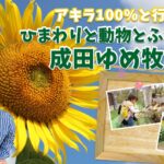 ｱｷﾗ100％と行く！ ひまわりと動物とふれあう 成田ゆめ牧場（千葉県）