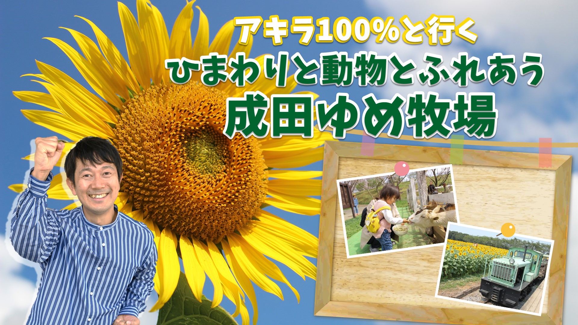 ｱｷﾗ100％と行く！ ひまわりと動物とふれあう 成田ゆめ牧場（千葉県）