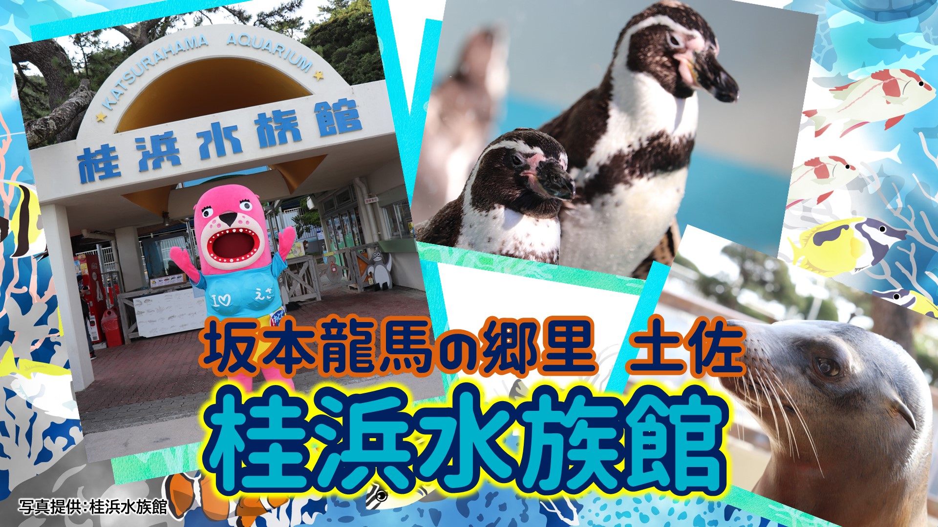 ～「坂本龍馬」の郷里 土佐～ 桂浜水族館（高知県）