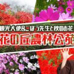 さいたま観光大使＆ごぼう先生と秋のお花見　大宮花の丘農林公苑