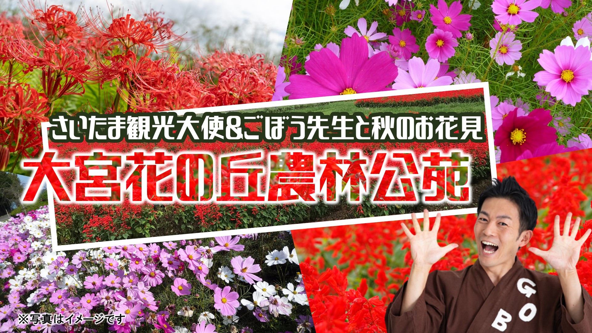 さいたま観光大使＆ごぼう先生と秋のお花見　大宮花の丘農林公苑