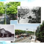原宿・明治神宮 ～竹下通りから表参道を歩く～