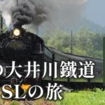 秋の大井川鐵道 SLの旅（静岡県）