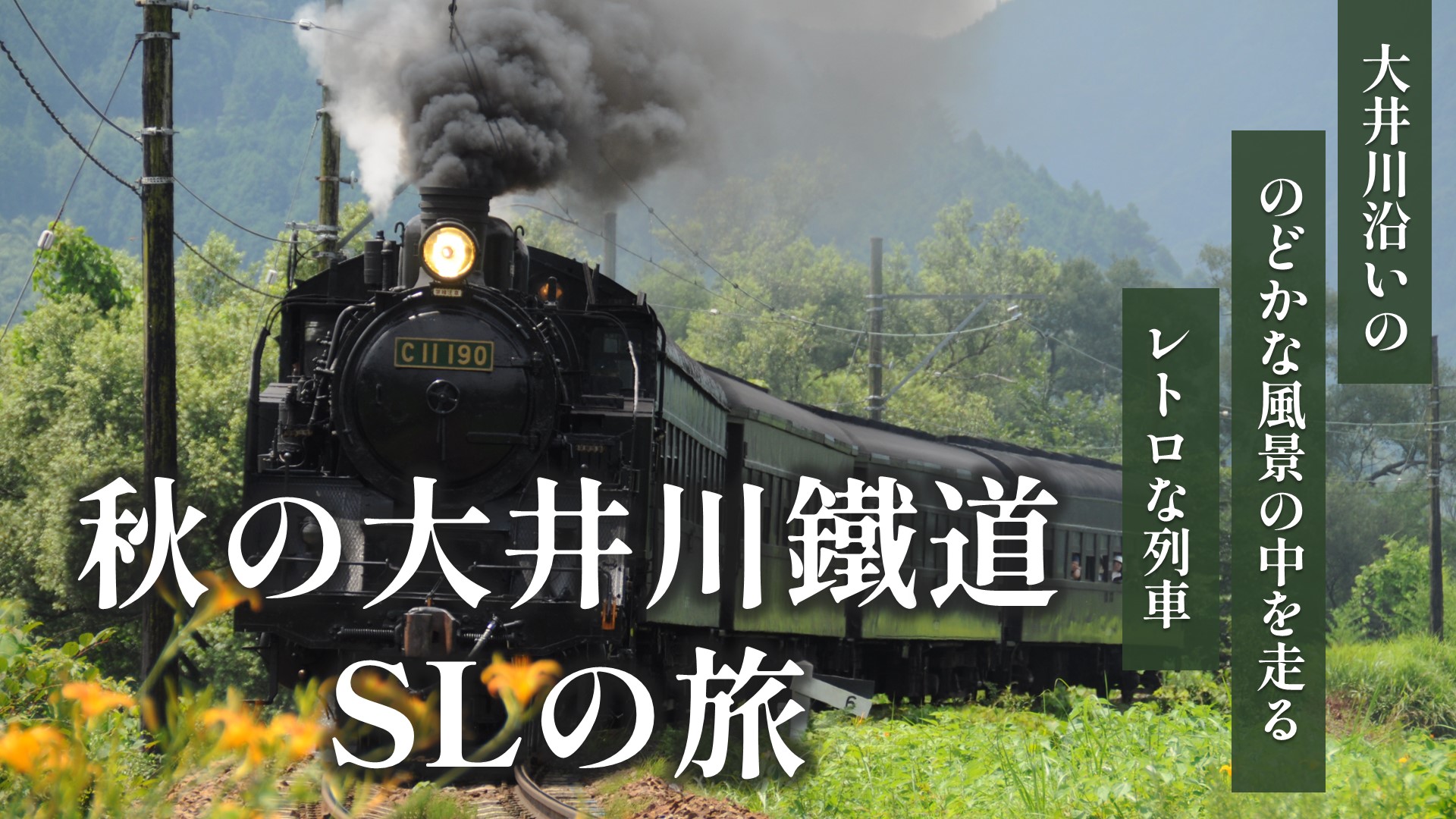 秋の大井川鐵道 SLの旅（静岡県）