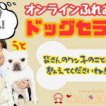 ﾄﾞｯｸﾞｾﾗﾋﾟｰ