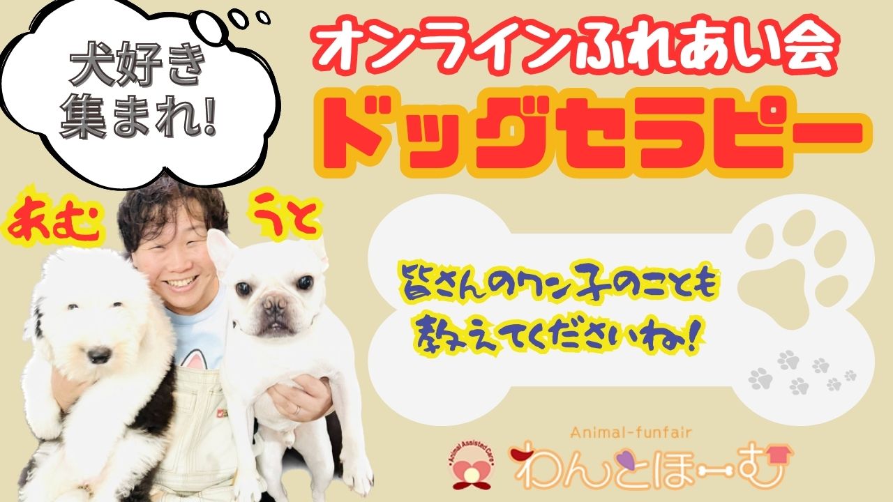ﾄﾞｯｸﾞｾﾗﾋﾟｰ