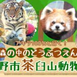 ｱｷﾗ100%と行く！森の中のどうぶつえん 長野市茶臼山動物園（長野県）