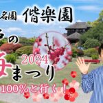 ｱｷﾗ100%と行く！日本三名園 偕楽園 水戸の梅まつり 2024（茨城県）