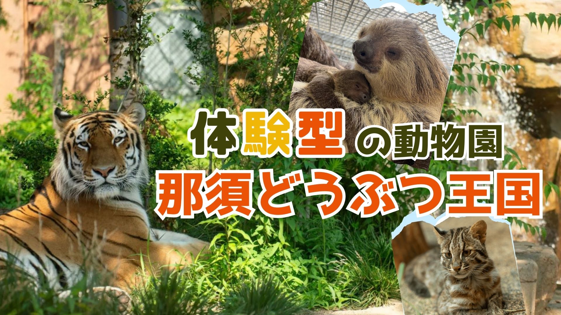 体験型の動物園　那須どうぶつ王国（栃木県）