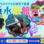 あつかんDRAGON おだちと行く！生きものたちのリアルを間近で鑑賞　桂浜水族館＜高知県＞