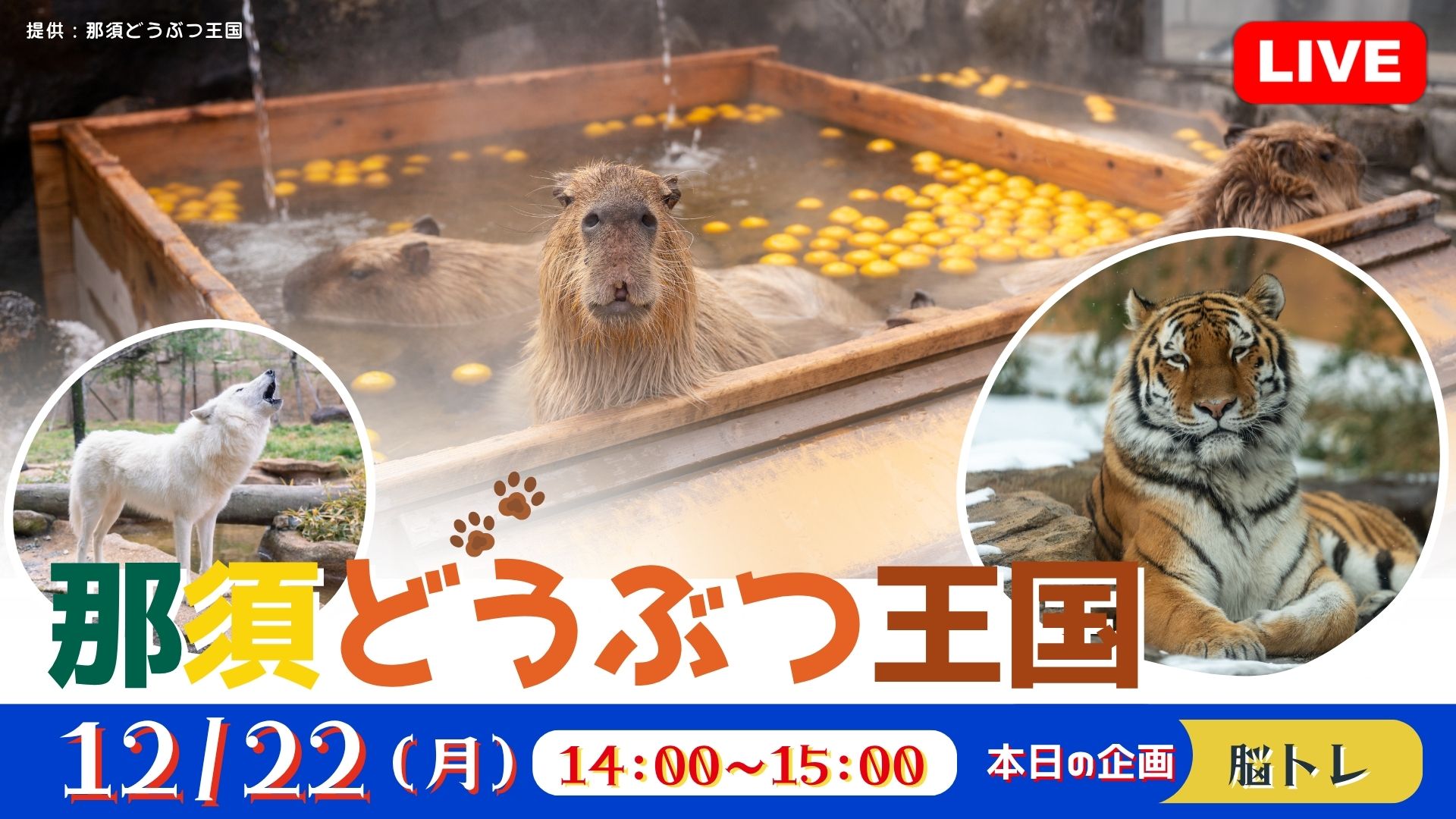 那須どうぶつ王国<栃木県>