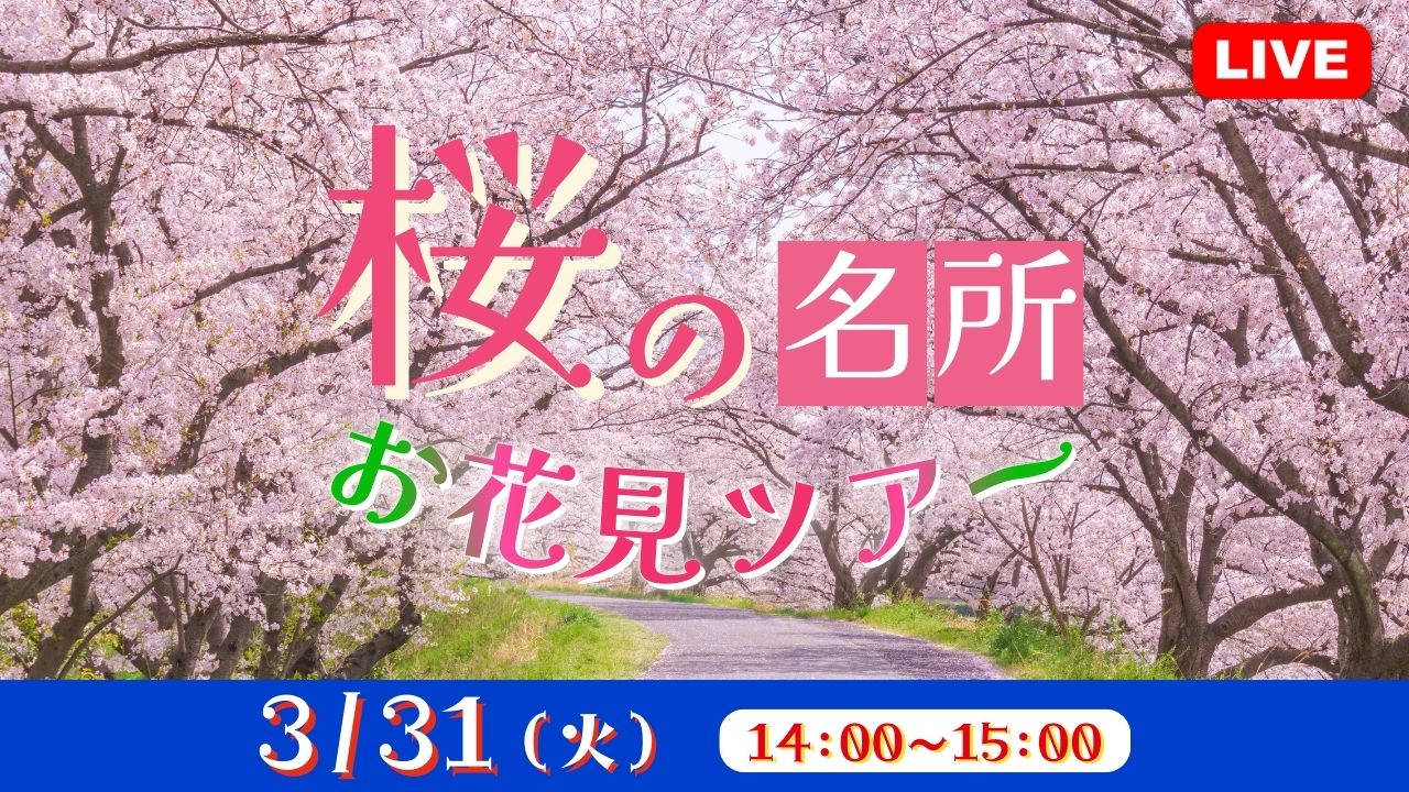 桜の名所 お花見ツアー
