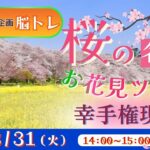 桜の名所 お花見ツアー 幸手権現堂