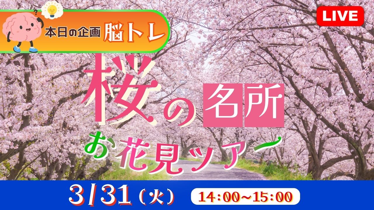 桜の名所 お花見ツアー