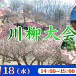 長瀞 早春の梅めぐり 川柳大会<埼玉県>