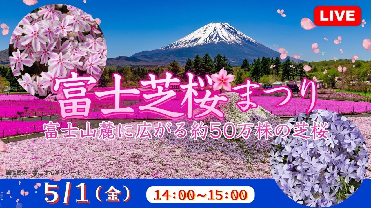 富士芝桜まつり 富士山麓に広がる約50万株の芝桜<山梨県>