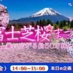 富士芝桜まつり 富士山麓に広がる約50万株の芝桜<山梨県>