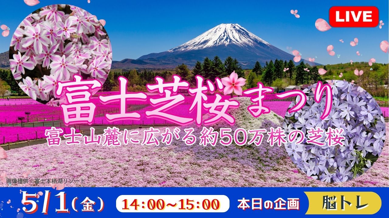富士芝桜まつり 富士山麓に広がる約50万株の芝桜<山梨県>