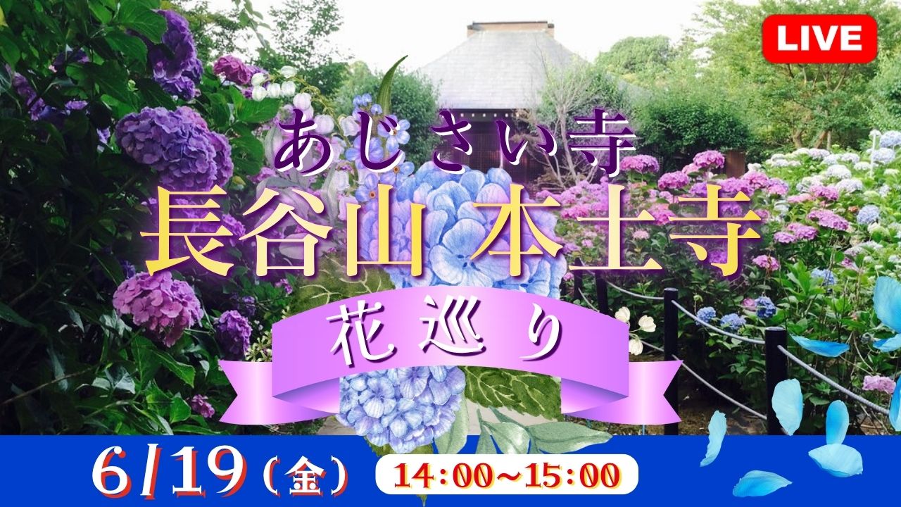 あじさい寺 長谷山 本土寺　花巡り<千葉県>