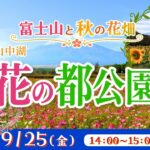 旅介 富士山と秋の花畑 山中湖 花の都公園