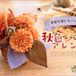 季節を感じるﾊﾝﾄﾞﾒｲﾄﾞ｢秋色ﾊﾞｽｹｯﾄｱﾚﾝｼﾞ」